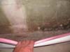Track vs Tile