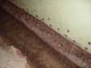 Track vs Tile