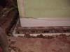 Track vs Tile