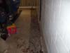 Track vs Tile