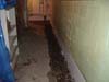 Track vs Tile