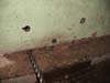 Track vs Tile