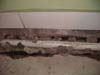 Track vs Tile