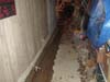 Track vs Tile