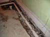 Track vs Tile