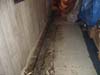 Track vs Tile
